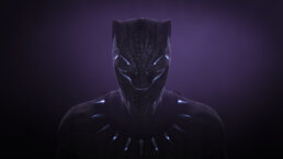 black-panther-pr-perception-3