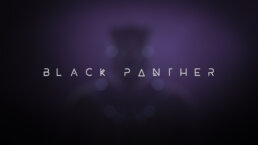 black-panther-pr-perception-4