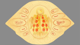 perception-guardians-galaxy-3-marvel-vfx-case-study-meat-suit-ui-sketch-01