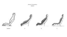 perception-lear-seat-automative-tech-lego-look-development-09