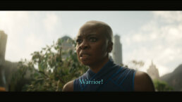 black-panther-wakanda-forever-marvel-studios-perception-subtitles-4