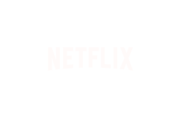 Company Logo Image Netflix