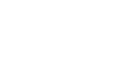 Company Logo Image Visa